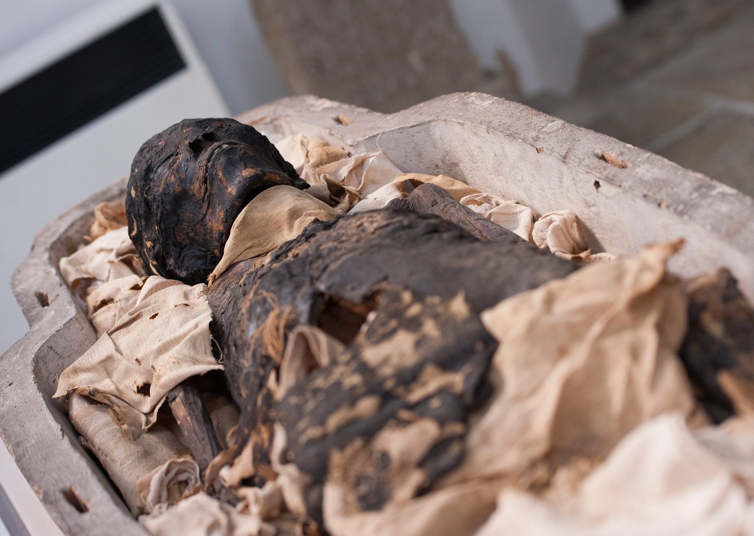 ancient-mummy